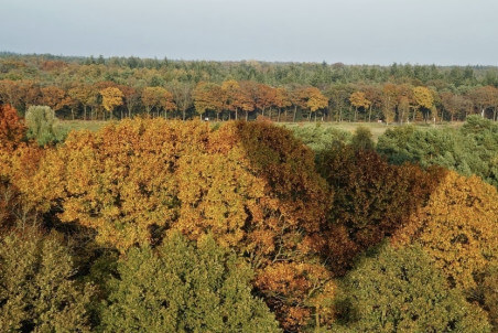 2163 herfst