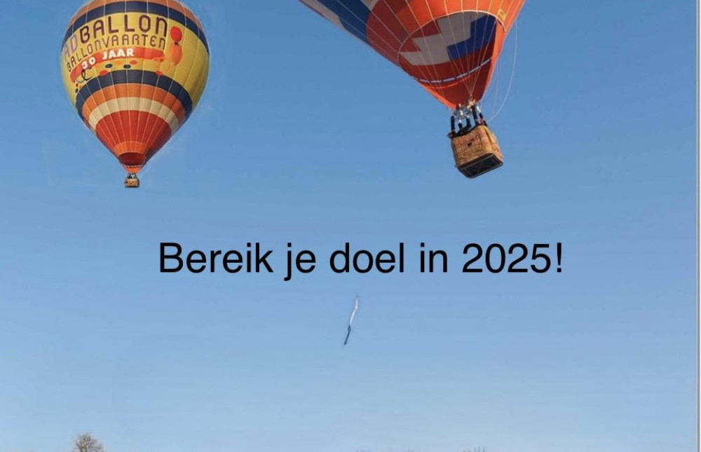 bereikjedoelin2025