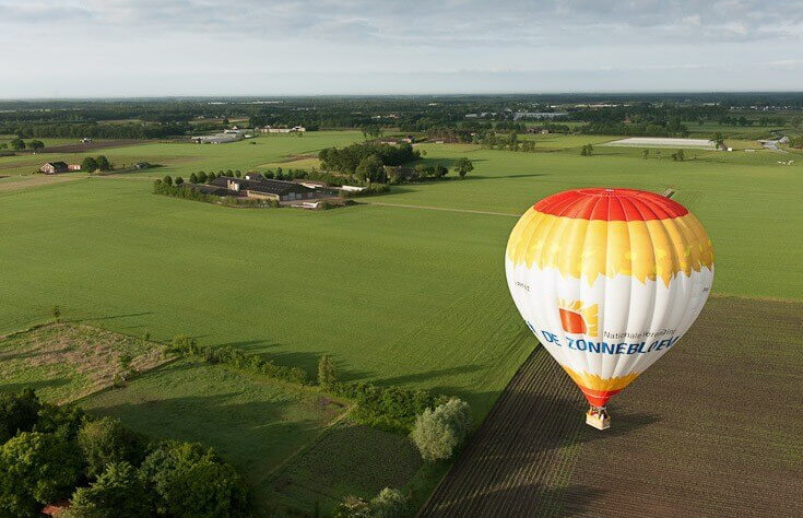 zonnebloem luchtballon