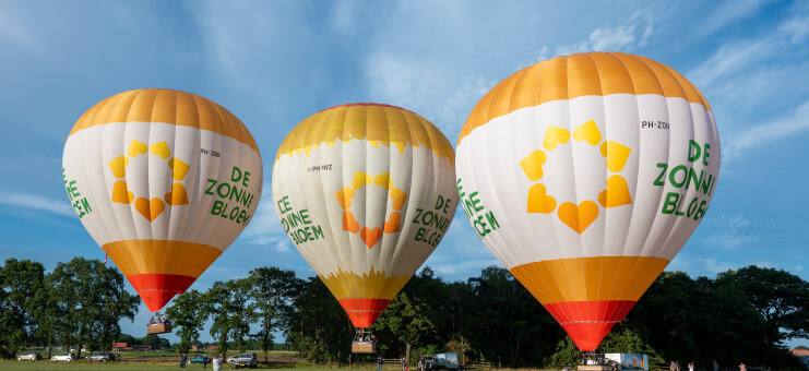 Drie Zonnebloem-ballonnen tegelijk in de lucht vanuit Baarle-Nassau