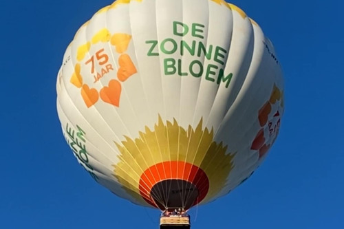 zonnebloem1