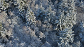 7sneeuwvaart62026.jpg 