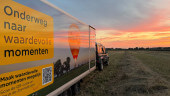 ballonfeestenjoure23.jpg 