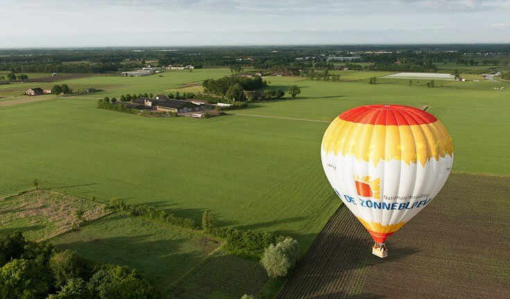 zonnebloem luchtballon